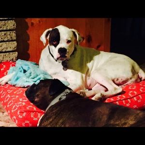 Meet your Posher, Jen